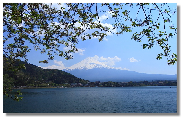 河口湖北岸看富士山