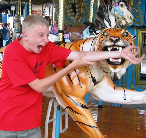 Tiger bite at Holiday World!
