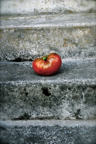 Tomato on our front steps