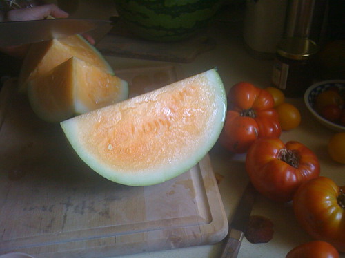 I dont have any picture of pumpkins handy, so this watermelon (and fellow cucurbit) will have to do.
