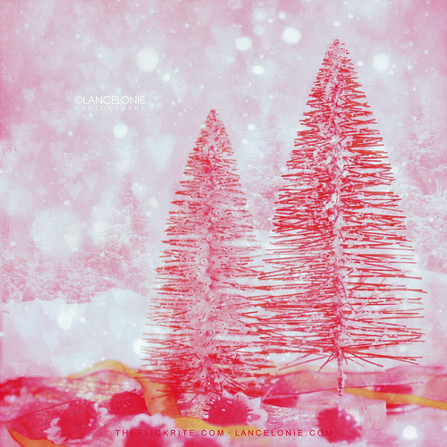 It's Snowing Hearts On Christmas by lancelonie.com, on Flickr