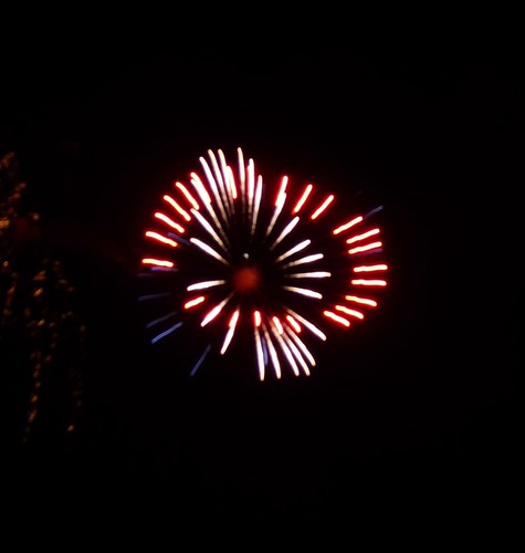Sonoma Fireworks 4