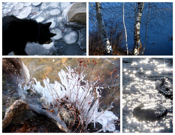 frozen pond walk