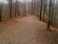  Clark Creek Trail