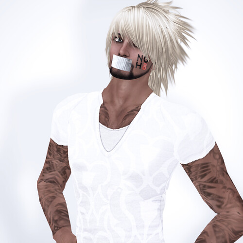 I considered it my civic SL duty to particpate in the NOH8 SL campaign