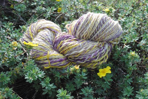 eXtreme Spinning's "Iris" shetland