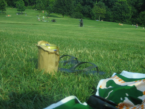 nothing says summer like a 40 in the park.