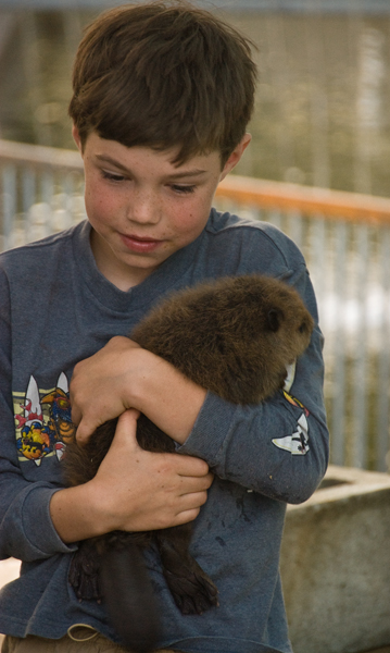 Nothing like a baby beaver to warm the cockles of your heart