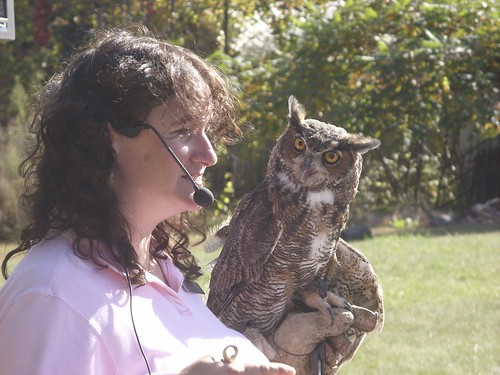 nature educator & owl
