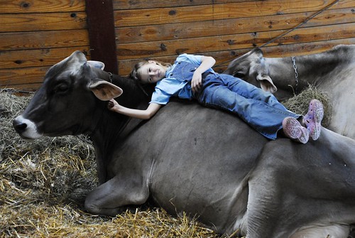 The Contented Cow and a Girl