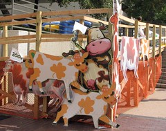 KC Irish Fest Cows
