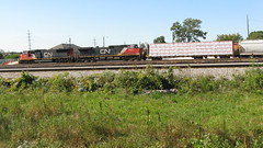 Southbound Canadian National freight train arrives at Schiller Park Illinois. Late September 2009.