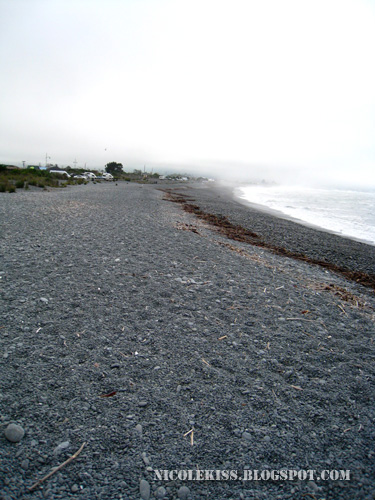 kaikoura pebble beach