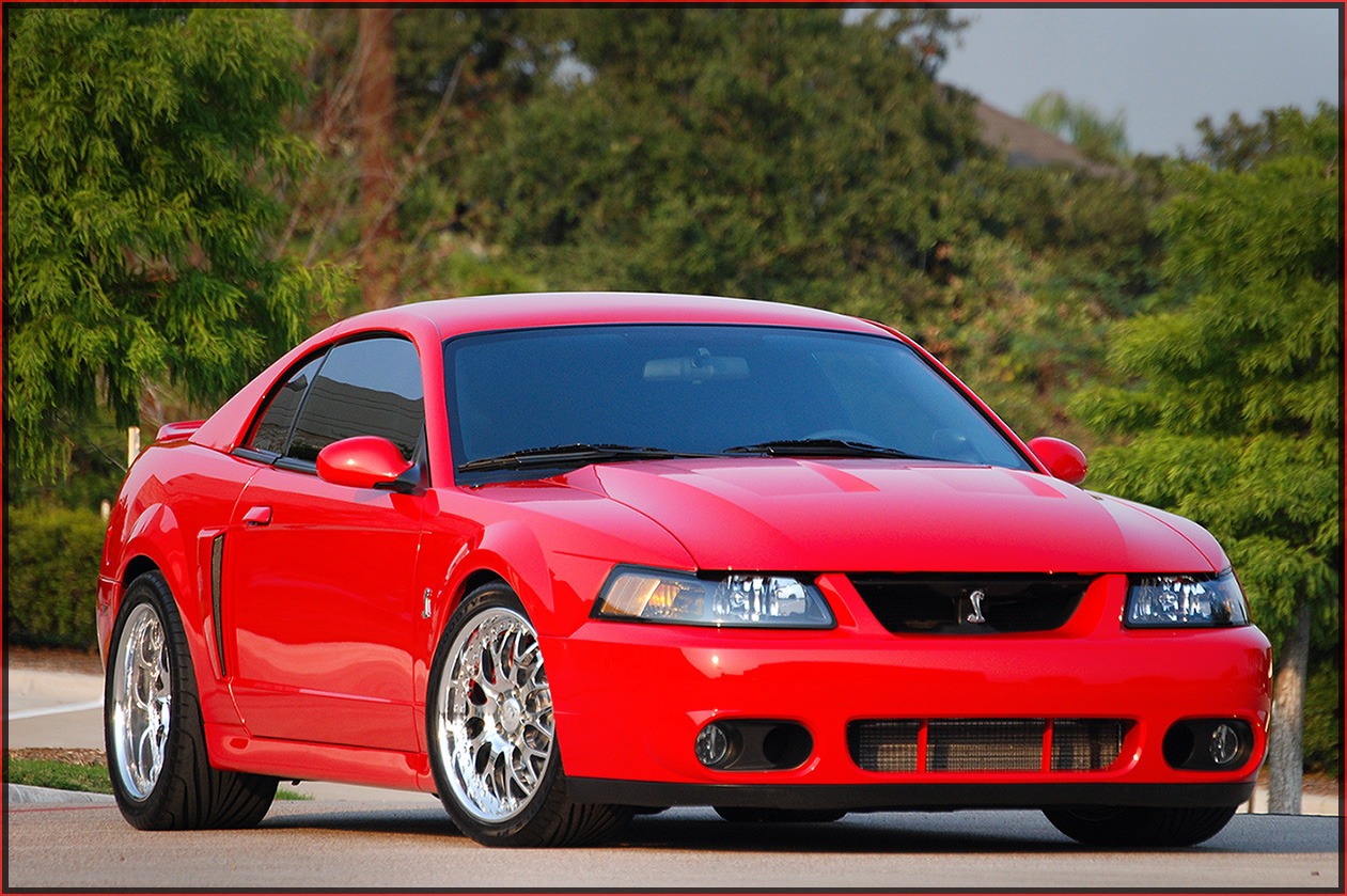 Exotic Rims Pics Please - Page 7 - Ford Mustang Forums ...