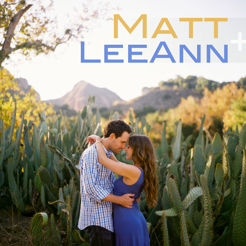 Matt & LeeAnn