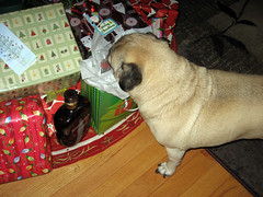 norman wants aunt nita's present