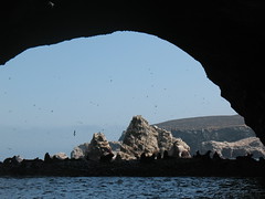 Ballestas Islands2