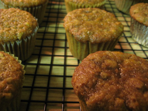 carrot cupcakes cooling