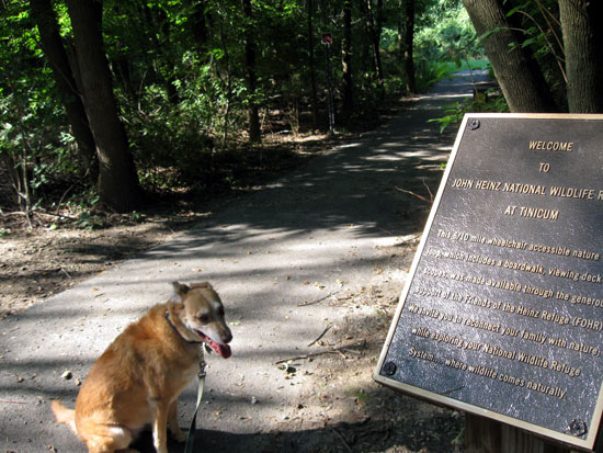 Una at the Head of the Trail (Click to enlarge)