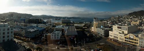 Wellington Panorama
