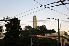 Coit Tower, from Columbus Ave