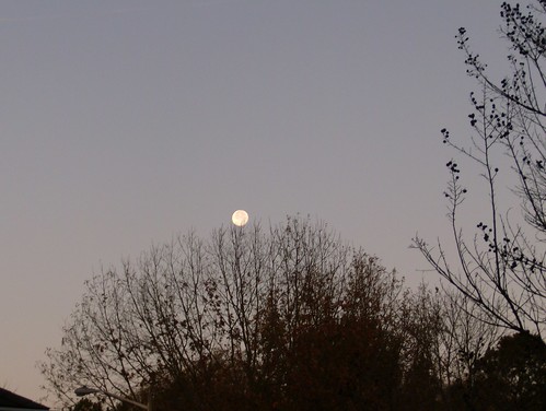 moon at morning