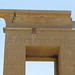 Temple of Karnak, gateway of Ptolemy III Euergetes by Prof. Mortel