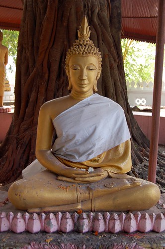 Thursday Buddha