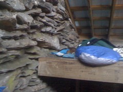  Squirrel in Mount LeConte Shelter