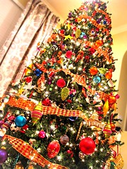 O' Christmas Tree 120609