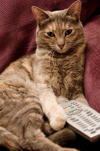 My remote! [284/365]