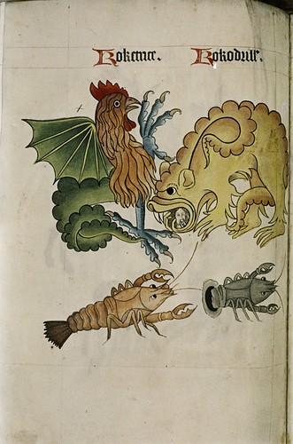 Cockatrice and Crocodile. Dragon with human head in mouth. Crayfish.
