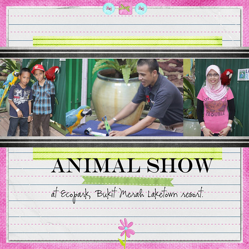 animal*show