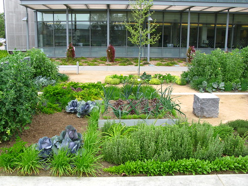 Good Life Garden; UC Davis