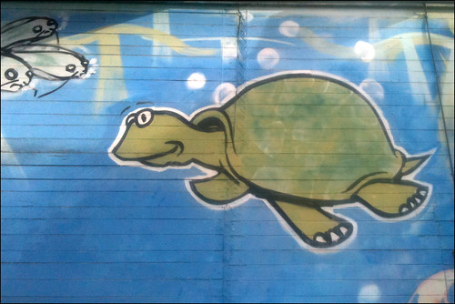 Turtle wall art