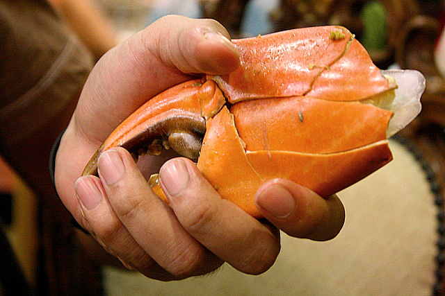 If this crab was alive, it could probably hand-wrestle you and win!