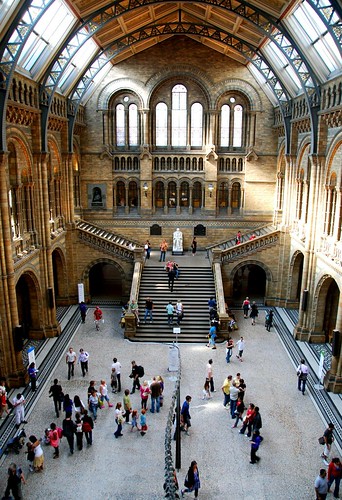 main entrance hall at the natural history museum, london