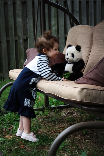 Loving panda