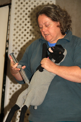 Dr. Kerr demonstrates how to give an intraperitoneal injection to a lamb or kid