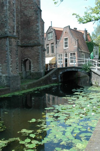 Canal bridge in Delft