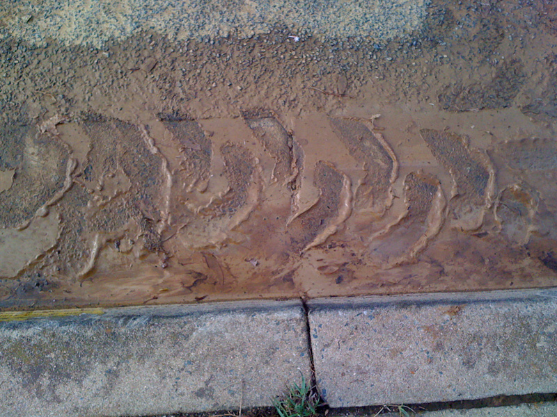 mud tracks