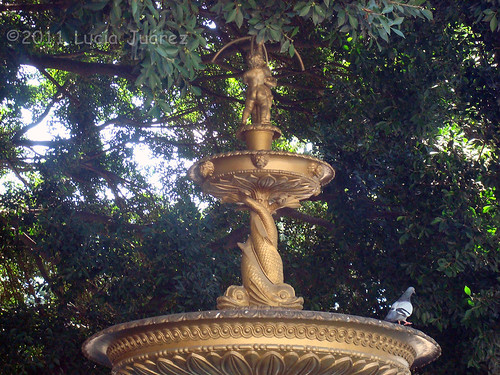  Fountain in Plaza de la Independencia, Tucuman, Argentina
