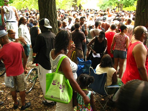 the last Soul Summit of 2009 in Fort Greene Park - 53