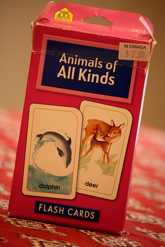 animals of all kinds