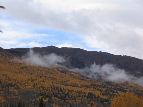 Fall colours in Yukon