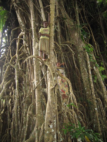 Meery and Violet climb the root of a banyan tree, Asanvari