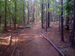  Narrow Trail
