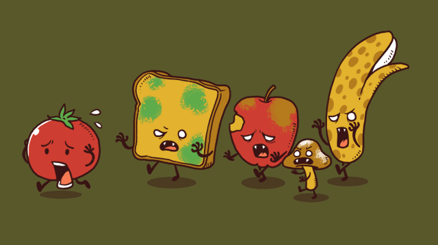  Zombie Food by ben chen 