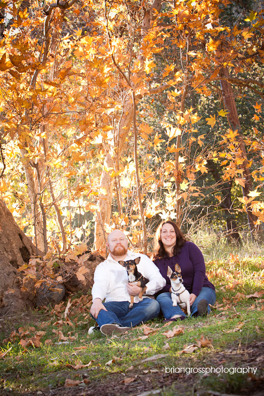 brian_gross_photography bay_area_wedding_photographer engagement_session livermore_ca 2009 (11)