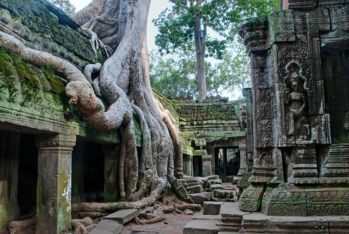 Angkor 26